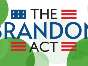 Brandon Act expedites mental health care referrals for Airmen, Guardians